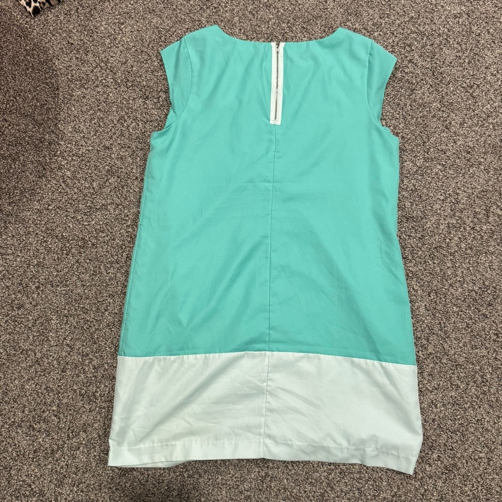 The Limited Mint and White Colorblock Shift Dress - Picture 6 of 6